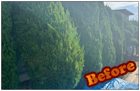 外構施工はTANAKENへ