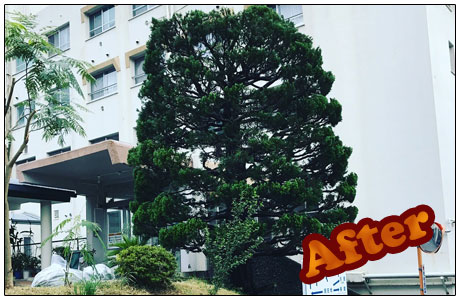 外構施工はTANAKENへ