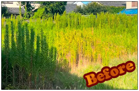 外構施工はTANAKENへ