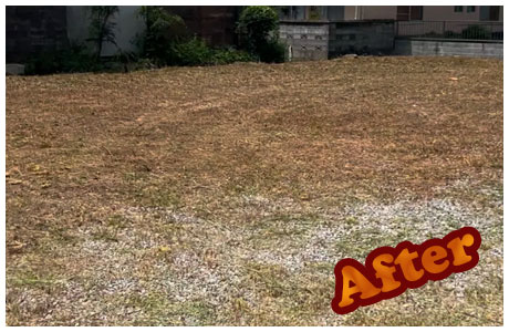 外構施工はTANAKENへ