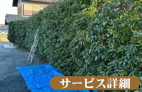 植木の管理はTANAKENへ