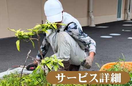 草刈り・草むしりはTANAKENへ