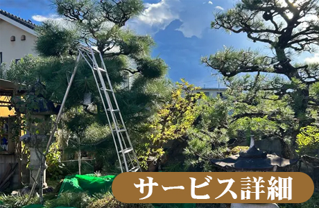 庭木の冬囲い・雪囲いはTANAKENへ