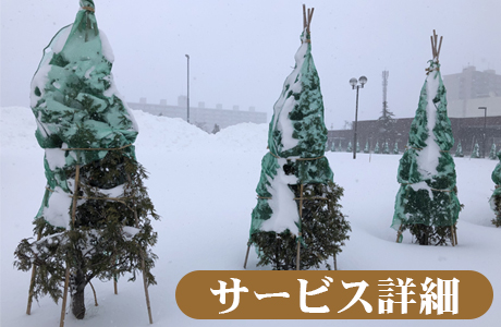 庭木の冬囲い・雪囲いはTANAKENへ
