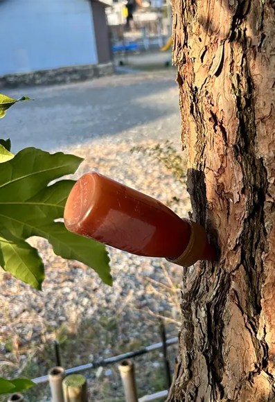 外構施工はTANAKENへ