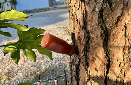 外構施工はTANAKENへ