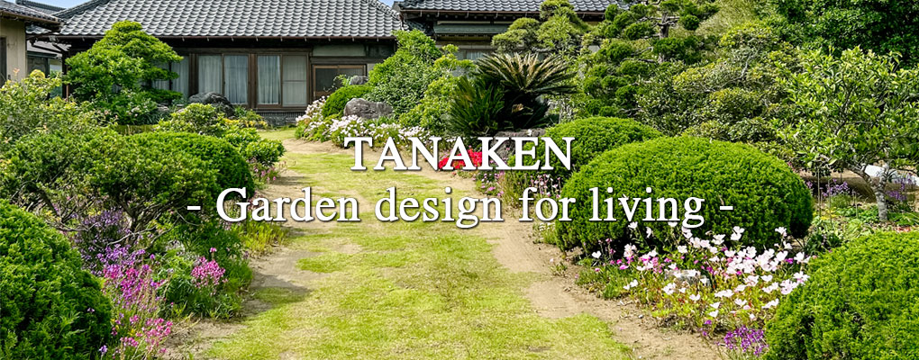 滋賀県 近江八幡市 造園・剪定 TANAKEN